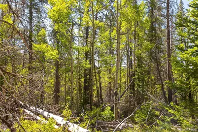 715 Lewsader Road, Alma, CO 80420 - Photo 12