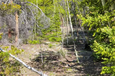 715 Lewsader Road, Alma, CO 80420 - Photo 10