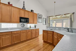 5269 Shetland Ct, Highlands Ranch, CO 80130 - Photo 12
