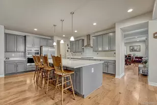 6475 Steuben Ct, Castle Rock, CO 80108 - Photo 8