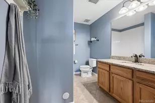 485 Elmhurst Way, Highlands Ranch, CO 80129 - Photo 26