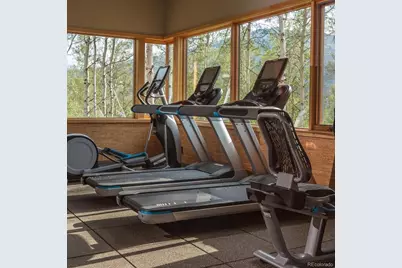 107 Beasley Road, Silverthorne, CO 80498 - Photo 28