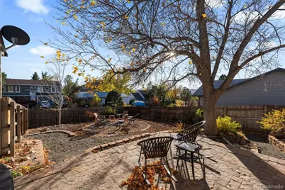 993 Pleasant View Street, Castle Rock, CO 80104 - Photo 34