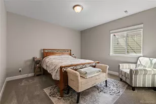 6655 Mentha Dr, Castle Rock, CO 80108 - Photo 28