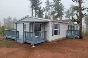 100 Wolverine Dr, Florissant, CO 80816 - Photo 1
