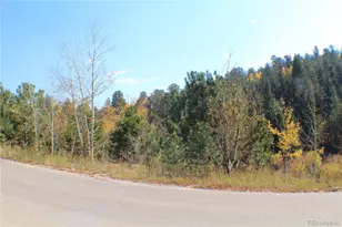2012 Shelton Dr, Bailey, CO 80421 - Photo 1