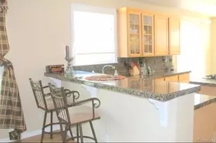 2661 Pemberly Ave, Highlands Ranch, CO 80126 - Photo 16