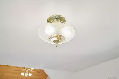 233 Brookdale Avenue, Buena Vista, CO 81211 - Photo 22