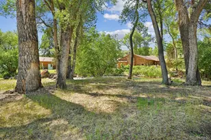 233 Brookdale Ave, Buena Vista, CO 81211 - Photo 40