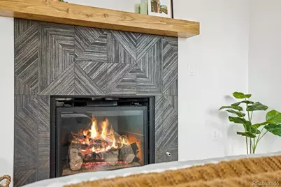 3718 N Milwaukee Street, Denver, CO 80205 - Photo 22