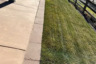 20420 Northern Pine Ave, Parker, CO 80134 - Photo 28