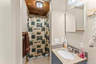 215 Will Scarlet Dr, Divide, CO 80814 - Photo 18