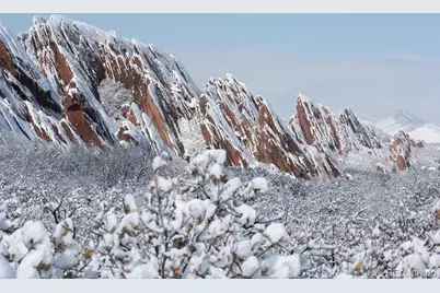 7668 Brown Bear Way, Littleton, CO 80125 - Photo 30