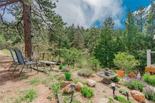 7815 Red Rock Cir, Larkspur, CO 80118 - Photo 46