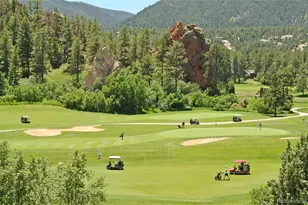 7815 Red Rock Cir, Larkspur, CO 80118 - Photo 50