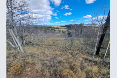 908 Raven Way, Como, CO 80432 - Photo 26