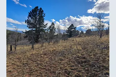 908 Raven Way, Como, CO 80432 - Photo 8