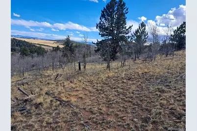 908 Raven Way, Como, CO 80432 - Photo 30