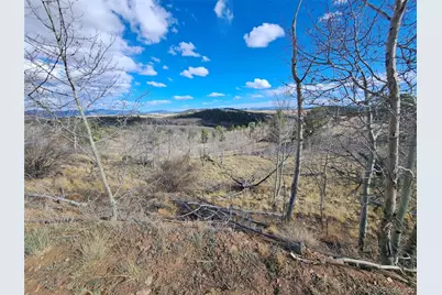 908 Raven Way, Como, CO 80432 - Photo 20