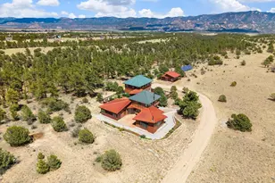 17121 Kiowa Rd, Nathrop, CO 81236 - Photo 48
