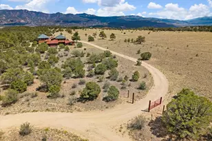 17121 Kiowa Rd, Nathrop, CO 81236 - Photo 46