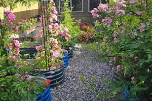 7366 W 75th Ave, Arvada, CO 80003 - Photo 46