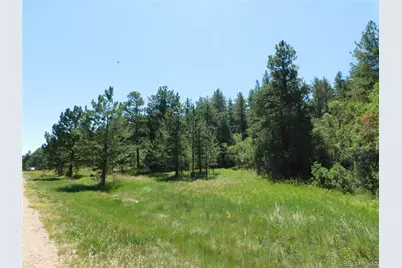 4668 Comanche Drive, Larkspur, CO 80118 - Photo 16