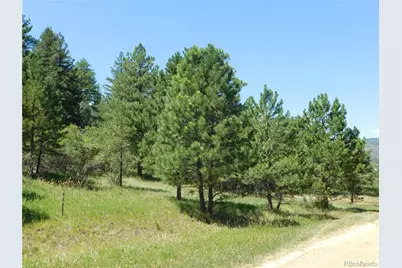 4668 Comanche Drive, Larkspur, CO 80118 - Photo 4