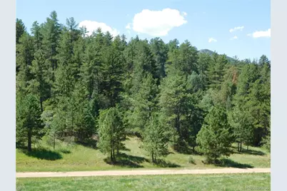 4668 Comanche Drive, Larkspur, CO 80118 - Photo 6