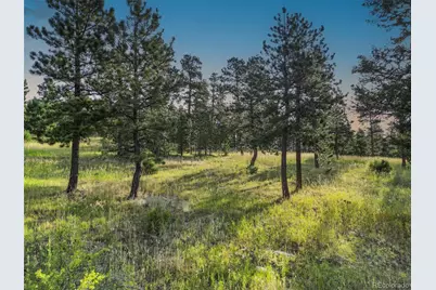 26545 Richmond Hill Road, Conifer, CO 80433 - Photo 2