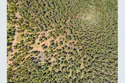 26545 Richmond Hill Road, Conifer, CO 80433 - Photo 22