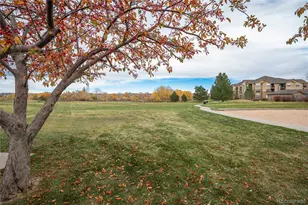 9227 Rolling Way, Parker, CO 80134 - Photo 38