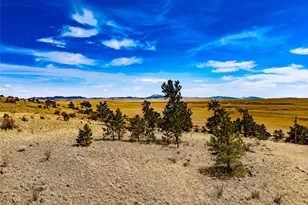 102 Pack Saddle Ct, Hartsel, CO 80449 - Photo 1