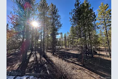 361 Fir Drive, Twin Lakes, CO 81251 - Photo 10