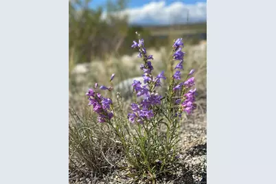 361 Fir Drive, Twin Lakes, CO 81251 - Photo 22