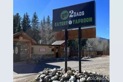 124 River Drive, Bailey, CO 80421 - Photo 26