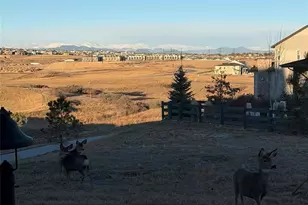 6239 Stable View St, Castle Pines, CO 80108 - Photo 40