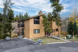 843 Badger Ln, Fraser, CO 80442 - Photo 2