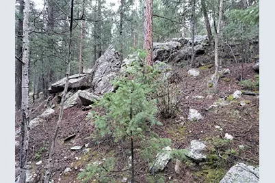 360 Hi Meadow Drive, Bailey, CO 80421 - Photo 14