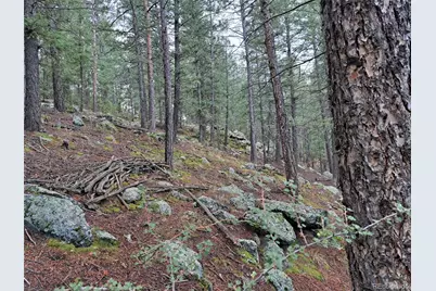 360 Hi Meadow Drive, Bailey, CO 80421 - Photo 4