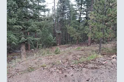 360 Hi Meadow Drive, Bailey, CO 80421 - Photo 8