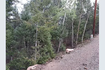 360 Hi Meadow Drive, Bailey, CO 80421 - Photo 10