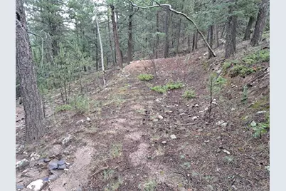 360 Hi Meadow Drive, Bailey, CO 80421 - Photo 22