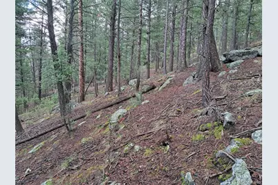 360 Hi Meadow Drive, Bailey, CO 80421 - Photo 12