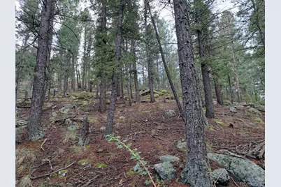 360 Hi Meadow Drive, Bailey, CO 80421 - Photo 2
