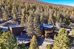 2028 Redhill Rd, Fairplay, CO 80440 - Photo 44