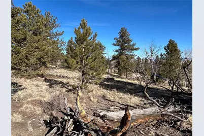 3430 Singletree Road, Hartsel, CO 80449 - Photo 4