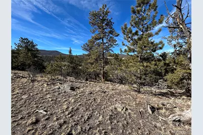 3430 Singletree Road, Hartsel, CO 80449 - Photo 2
