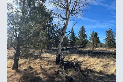 3430 Singletree Road, Hartsel, CO 80449 - Photo 6