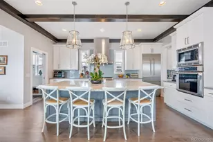 1315 S Columbine St, Denver, CO 80210 - Photo 14